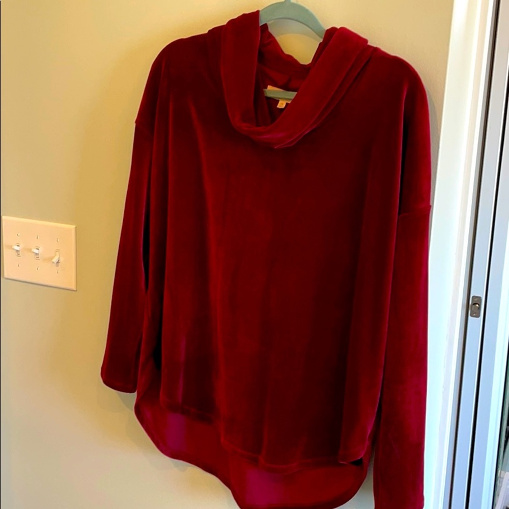 Loft & grey velour top